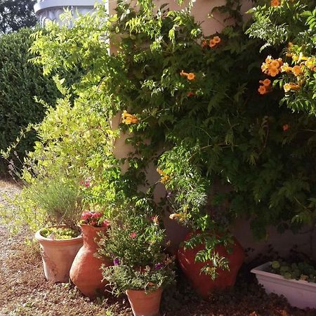 Chambre D'Hote Les Avettes Remereville Zewnętrze zdjęcie